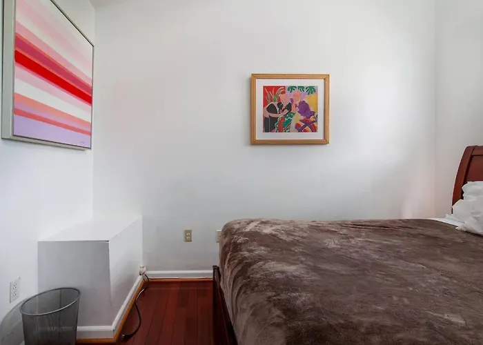 Relaxing, Spacious, Private, Walkable In Petworth!